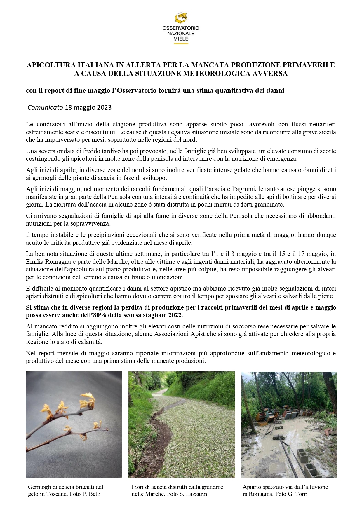 Comunicato allerta apicoltura pr.jpg